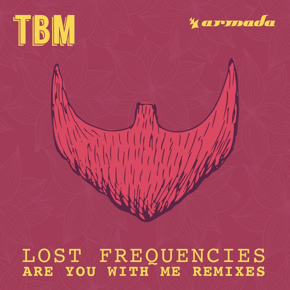 Are You with Me (Harold Van Lennep Piano Edit) - Lost Frequencies, Harold van Lennep