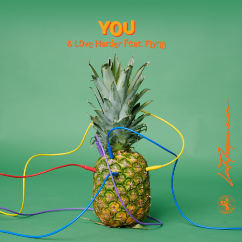Lost Frequencies & Love Harder feat. FLYNN - You (Honey & Badger Remix)