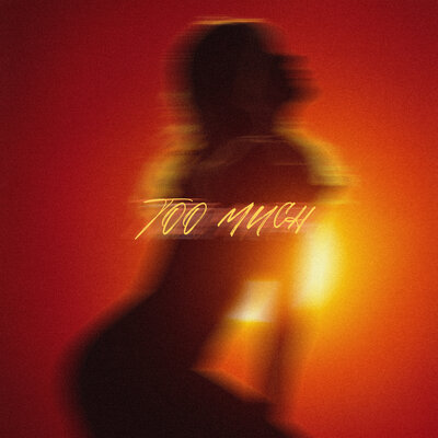 Too Much - LØST SIGNAL, Muffin, RIVIERA