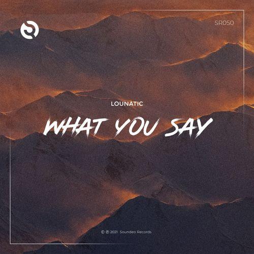 What You Say - Lounatic