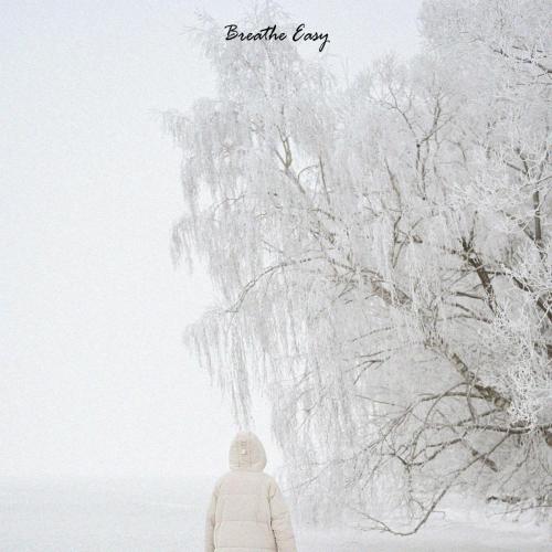 Low North - Breathe Easy
