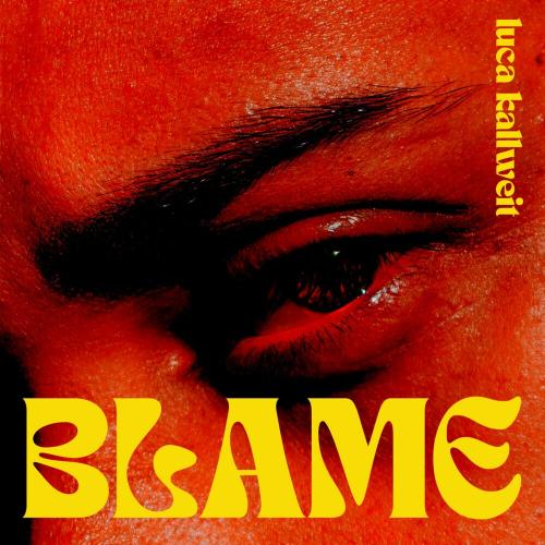 Luca Kallweit - Blame
