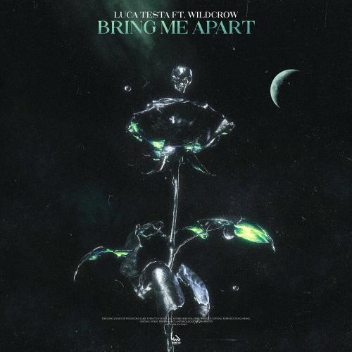 Luca Testa & Wildcrow - Bring Me Apart