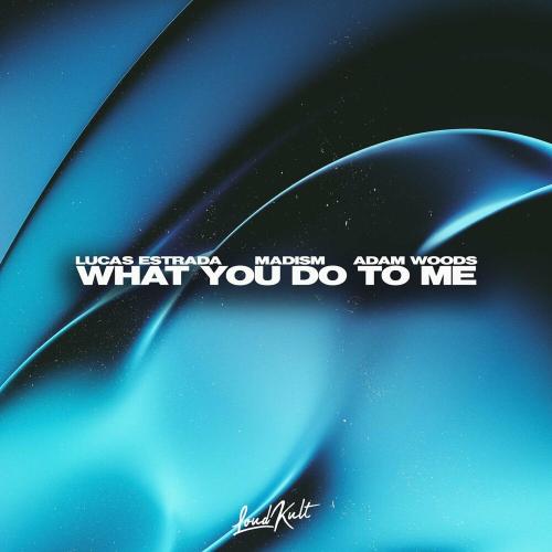 Lucas Estrada, Madism & Adam Woods - What You Do To Me