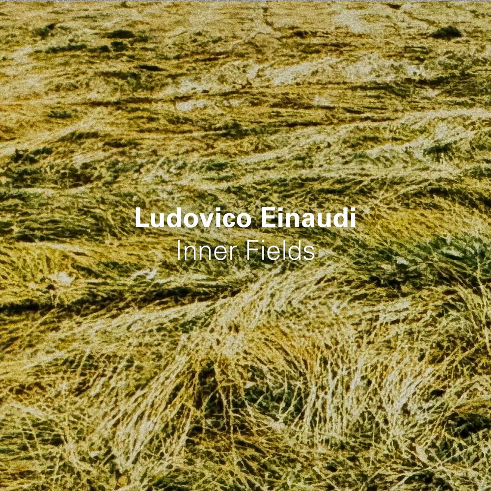 Ludovico Einaudi, Franco Feruglio, Marco Decimo, Gabriele Baffero & Mauro Loguercio - Einaudi_ Fuori Dalla Notte