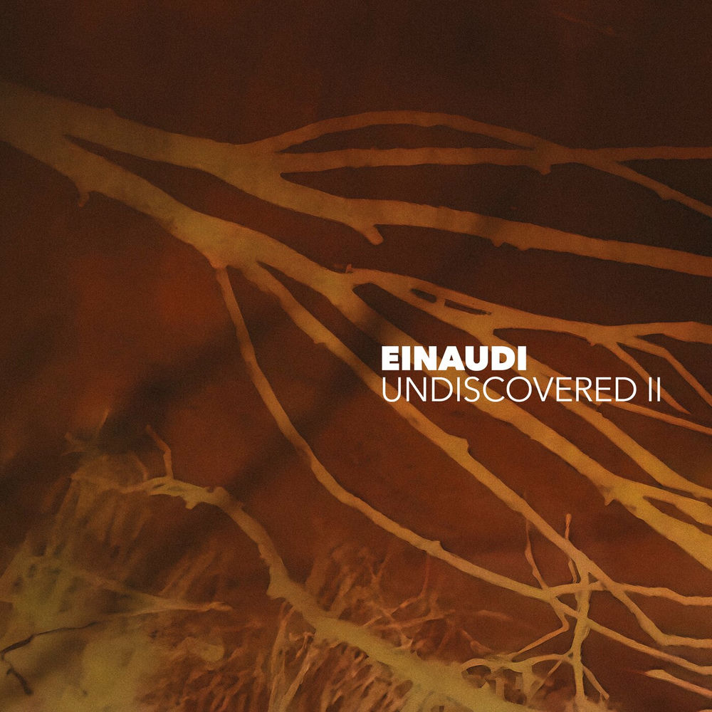 Nuvole Nere - Ludovico Einaudi