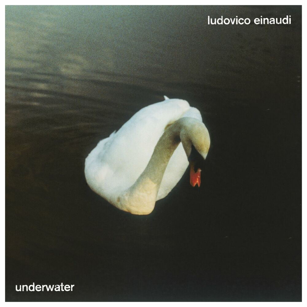Swordfish - Ludovico Einaudi