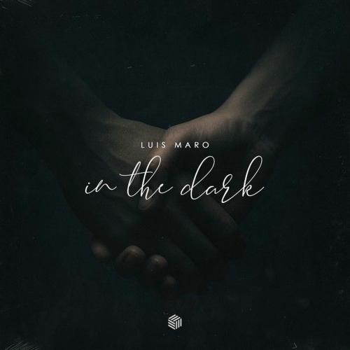 Luis Maro - In The Dark