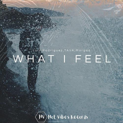 Luis Rodriguez, Tava & Margad - What I Feel
