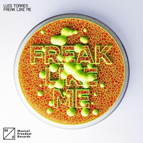 Luis Torres - Freak Like Me