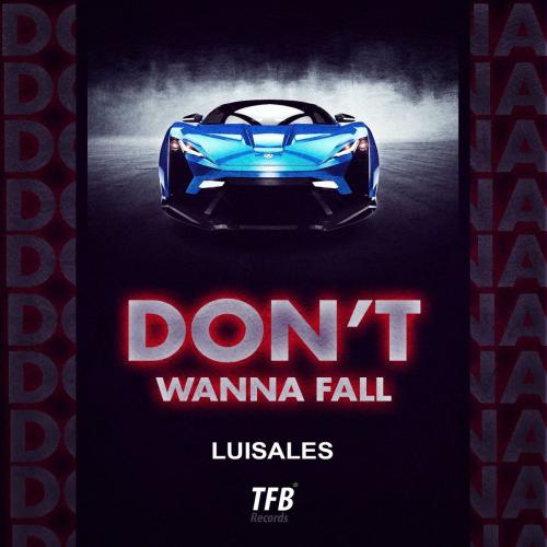 Don't Wanna Fall - Luisales