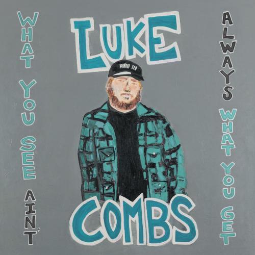 Beer Never Broke My Heart - Luke Combs