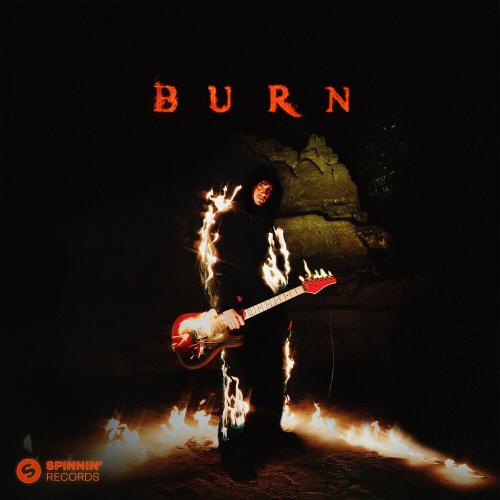 Lum!x feat. Séb Mont - Burn