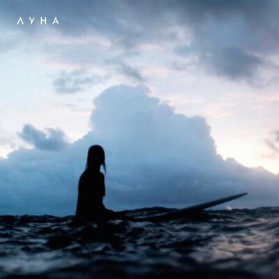Dolphins Remix - Луна, влад пиво