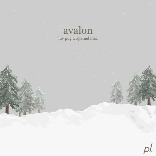 luv pug & Spaniel Mac - Avalon