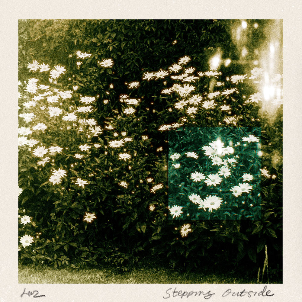 Stepping Outside - Luz