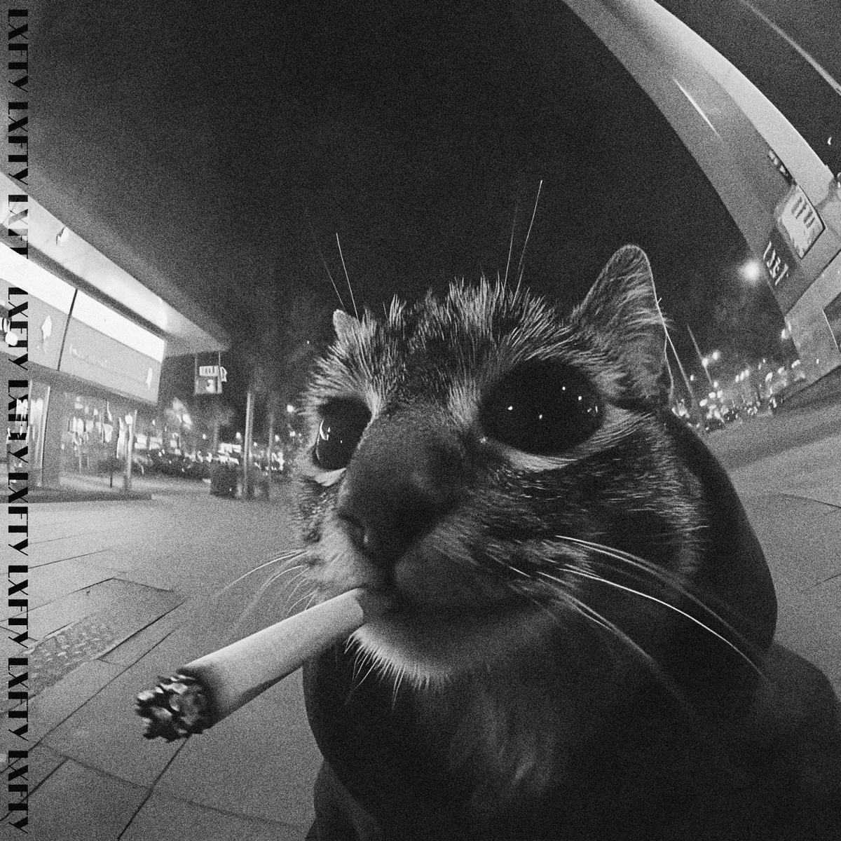 HEIST - LXFTY