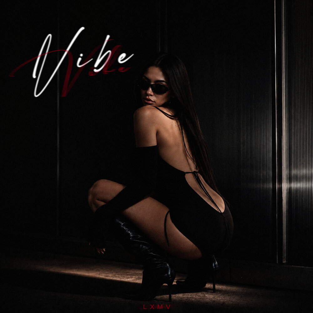 Vibe - LXMV