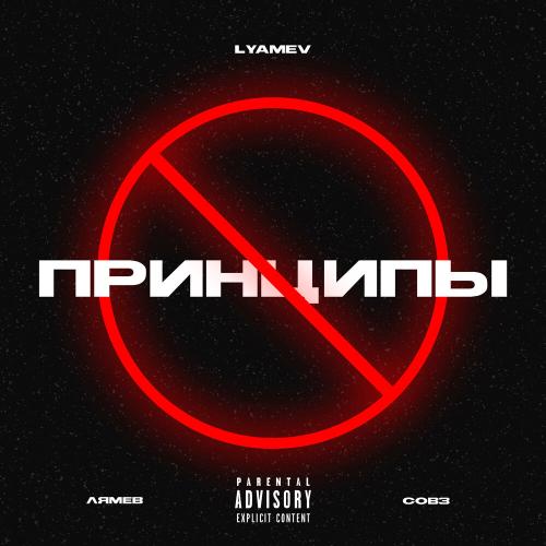 Лямев, Совз, Lyamev - ПРИНЦИПЫ