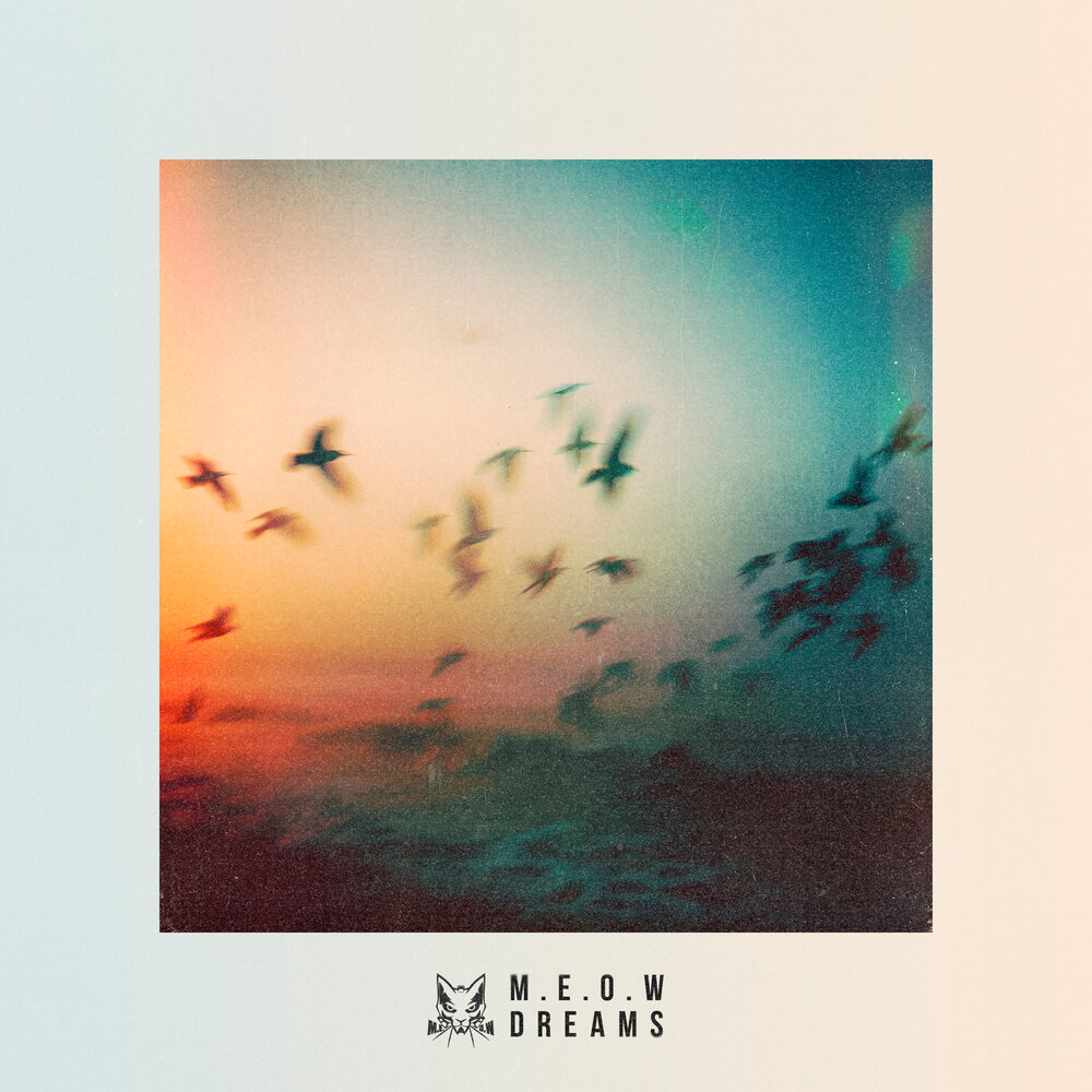 Dreams - M.E.O.W