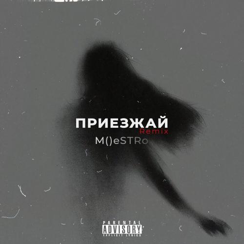M()eSTRo - Приезжай (Remix)