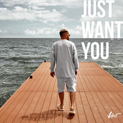 Just Want You - M.Hustler feat. Delphia