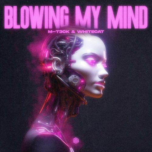M-T3CK, WhiteCat - Blowing My Mind