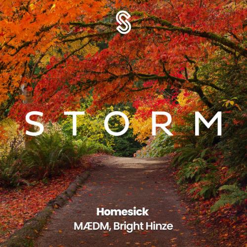 Homesick - MÆDM, Bright Hinze