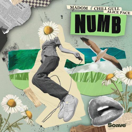 Madom, Chill Gull & Alice Pace - Numb