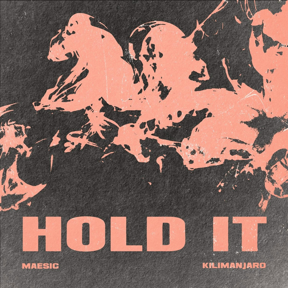 Hold It - Maesic, KILIMANJARO, ZenTola