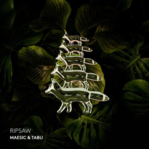 Maesic & Tabu - Ripsaw