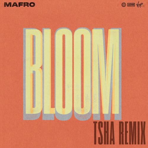 MAFRO & TSHA - Bloom (feat. Ell Murphy) [TSHA Remix]