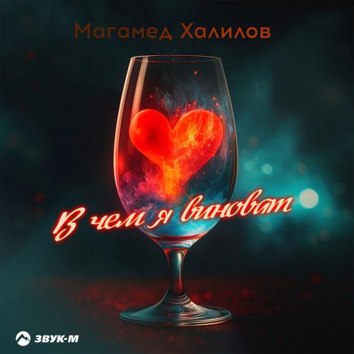 Магамед Халилов - В чем я виноват