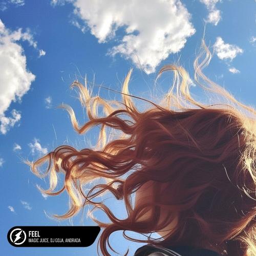 Magic Juice feat. DJ Goja & Andrada - Feel