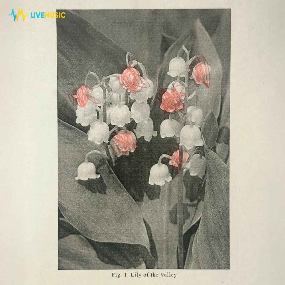 lily of the valley - maiiki