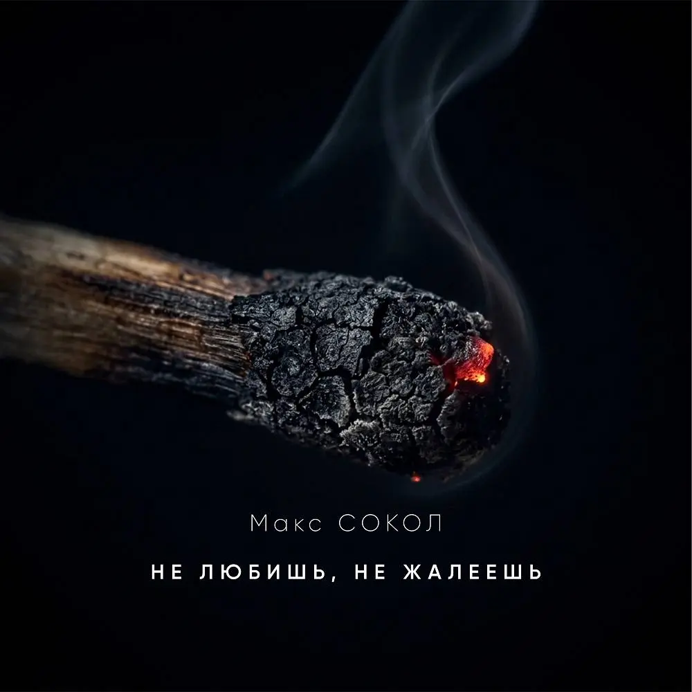 Не любишь, не жалеешь - Макс Сокол