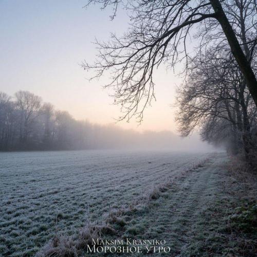 Морозное утро - Maksim Krasniko