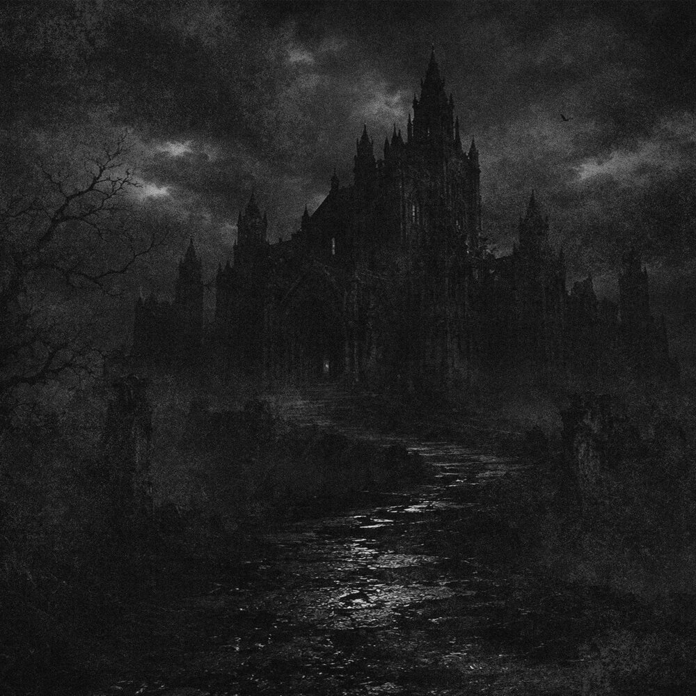 Black - MalardD