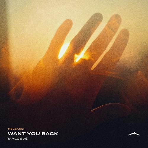 Want You Back - MALCEVS