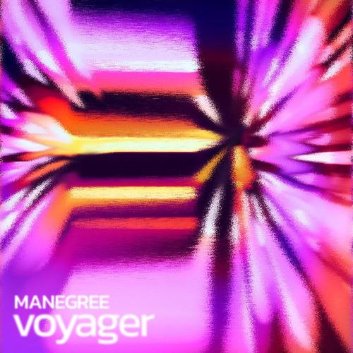 Mistakes - Manegree