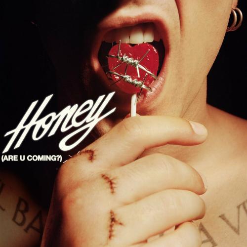 Maneskin - Honey (Are U Coming)