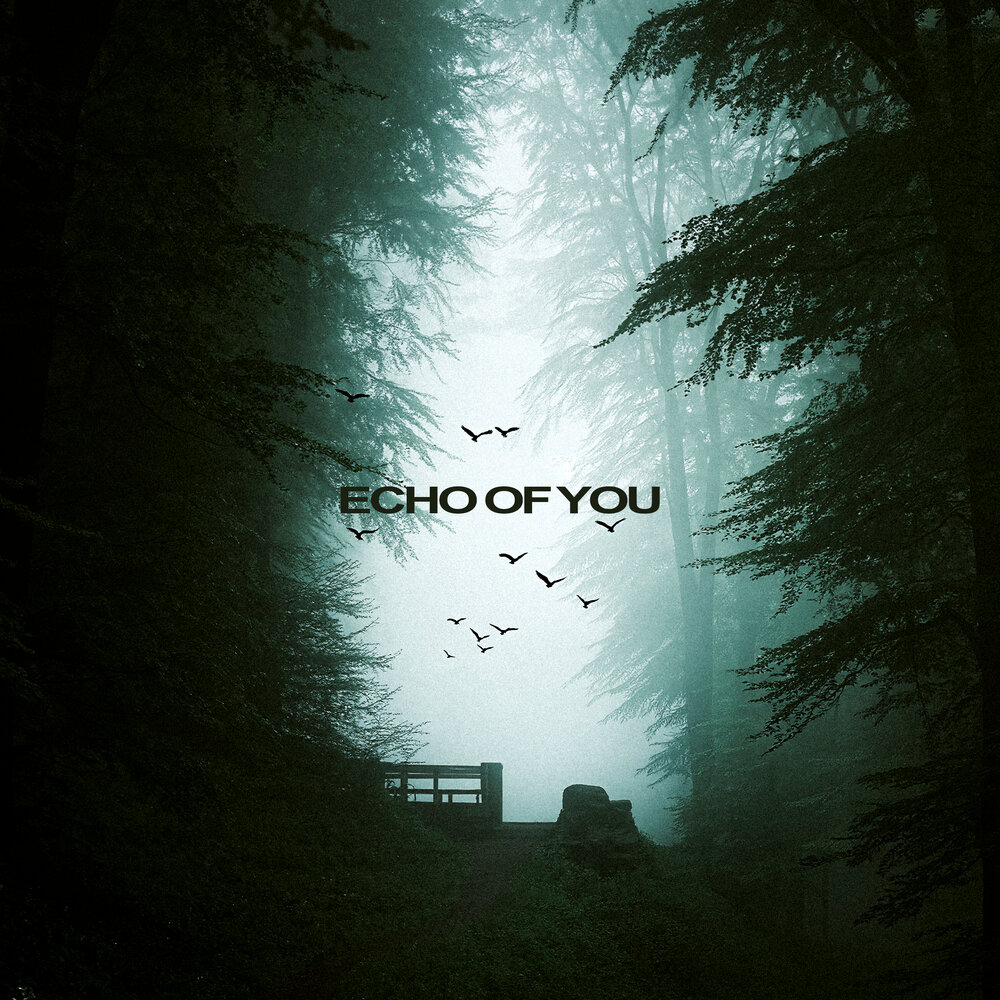 ECHO OF YOU - MANIUK