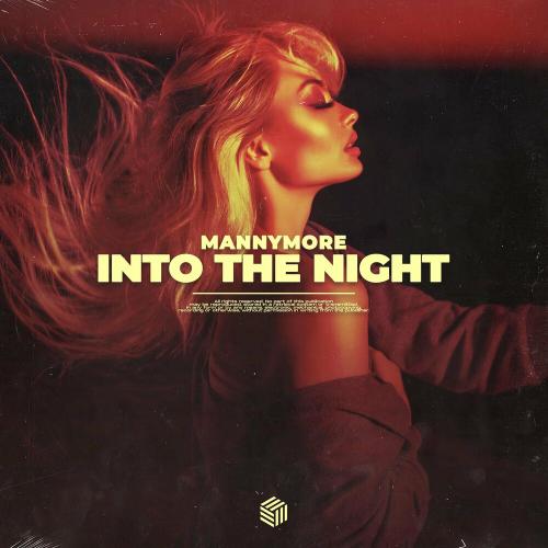 Into the Night - Mannymore
