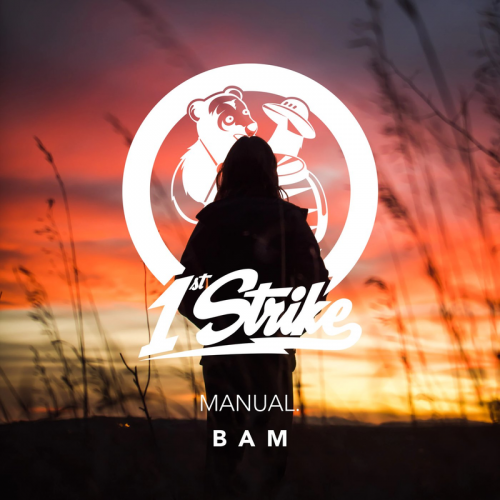 Manual. - BAM