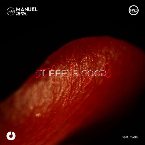 Manuel Riva feat. M Els - It Feels Good