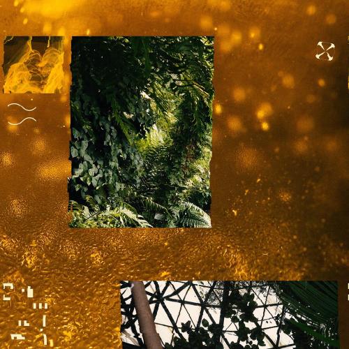Mappe Of - Honeyhaze