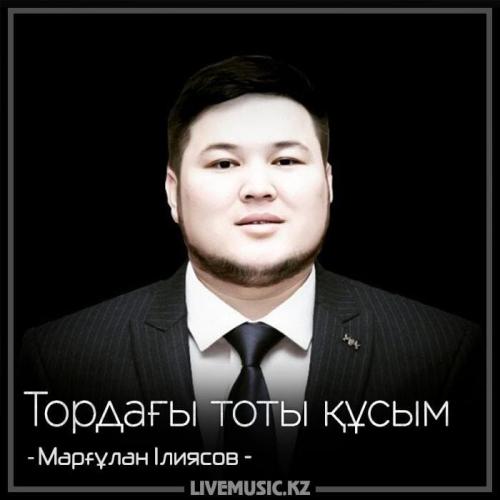 Марғұлан Ілиясов - Тордағы тоты құсым (2018)