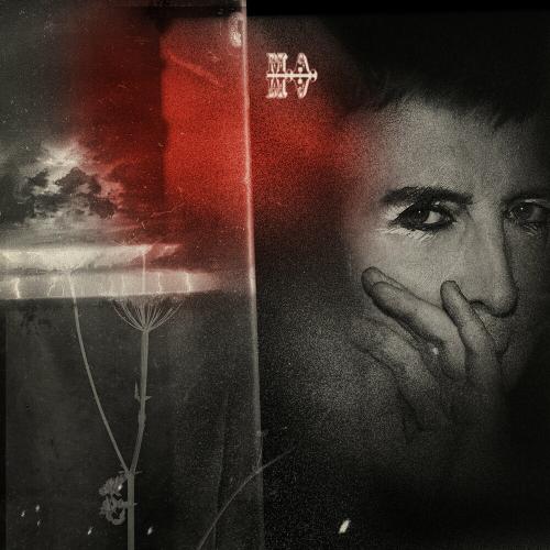 Marc Almond - Elusive Butterfly