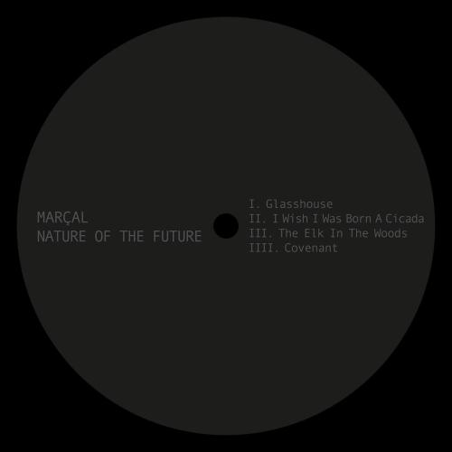 Marcal - The Elk In The Woods