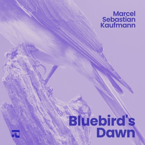 Bluebird's Dawn - Marcel Sebastian Kaufmann